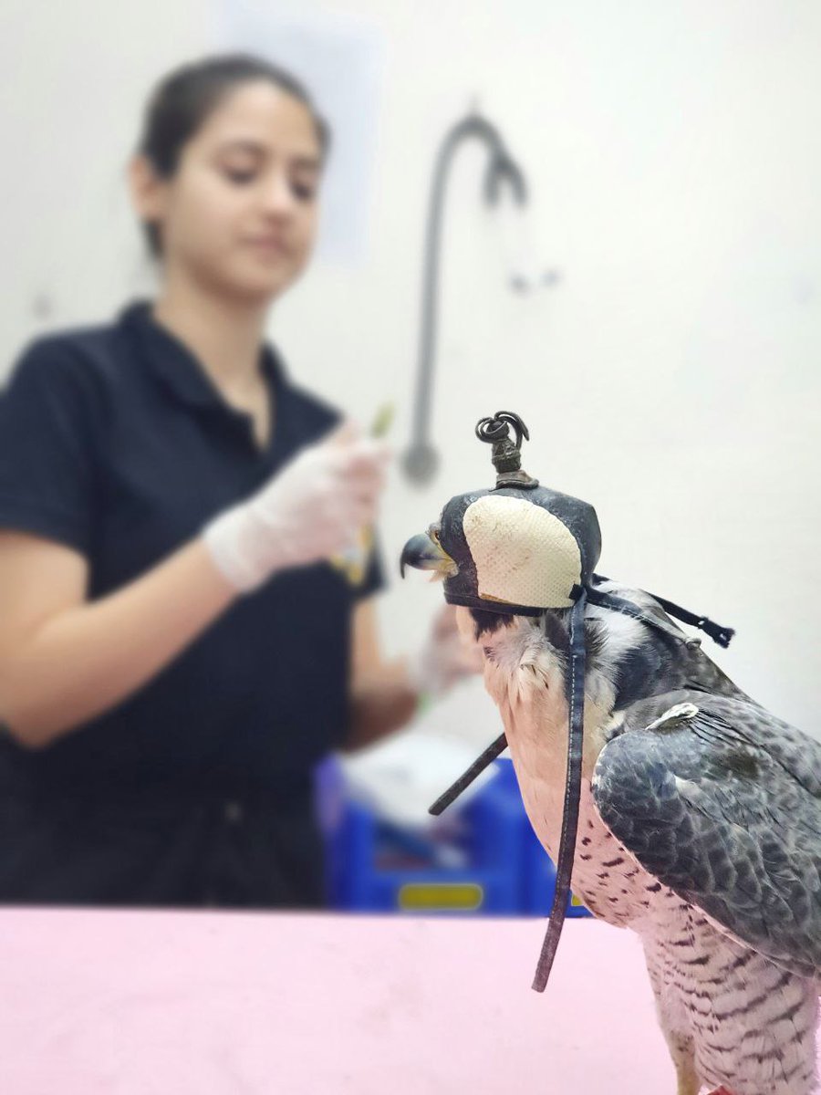 Neha Panchamiya tweet media