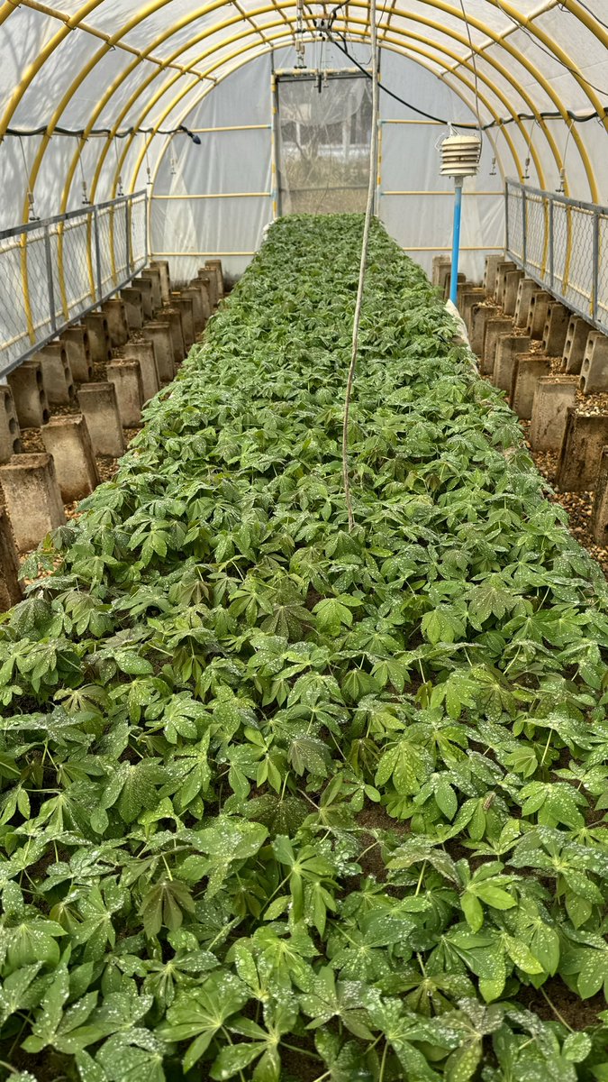 Jonathan Newby tweet media