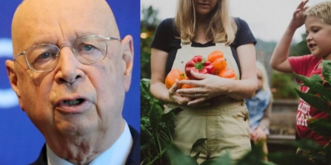 Pascal_Laurent_'s tweet photo. https://t.co/y1sjk0Hnjm
⚠️ LES PSYCHOPATHES DU WEF METTENT EN GARDE CONTRE LES ALIMENTS CULTIVÉS À LA MAISON QUI PROVOQUERAIENT, SELON EUX, RIEN MOINS QUE LES CHANGEMENTS CLIMATIQUES...
Selon une "étude" récente du WEF, des chercheurs auraient découvert que les aliments cultivés sur place "détruisent la planète".
En conséquence, le WEF et d’autres fanatiques mondialistes du climat exigent désormais que les gouvernements interviennent et interdisent aux individus de cultiver leur propre nourriture afin de "sauver la planète" du "réchauffement climatique."