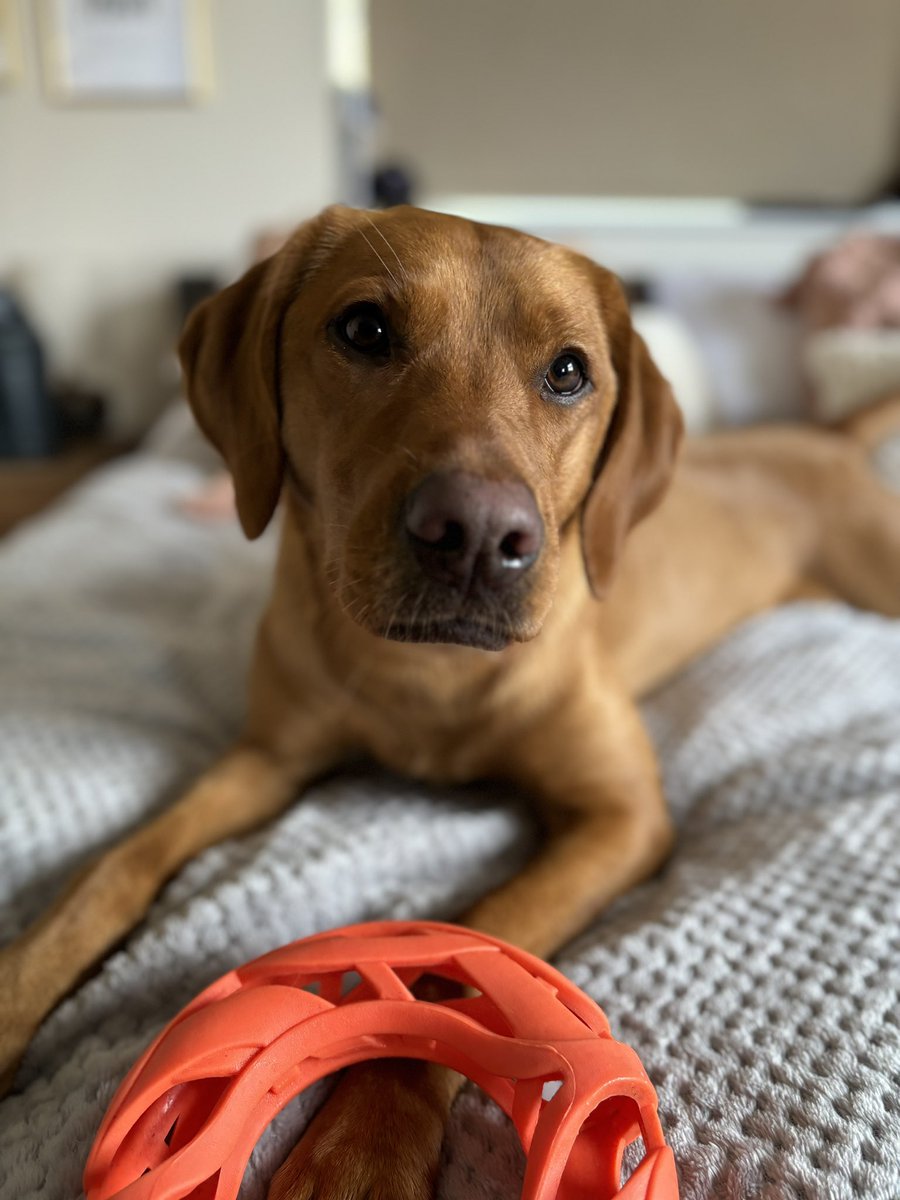 My girl 🥰