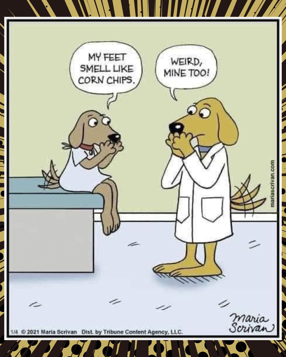 CountryPetLodge's tweet photo. It's not just the us who need a 2nd opinion at the doctor! πΎπ©ββοΈπΆ Who knew Frito feet was a universal canine condition? π€£ #CountryPetLodge #CornChipPaws
Thanks for the laughs, Maria Scrivan! ππΆπΉ @MariaScrivan #MariaScrivan Support Maria here: https://t.co/yL1Fuv2BNO https://t.co/kO7LupDWwb