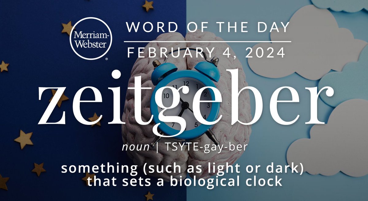 MerriamWebster's tweet photo. The #WordOfTheDay is ‘zeitgeber.’
https://t.co/5n8ATSnR7O https://t.co/90Y0yqQy4h