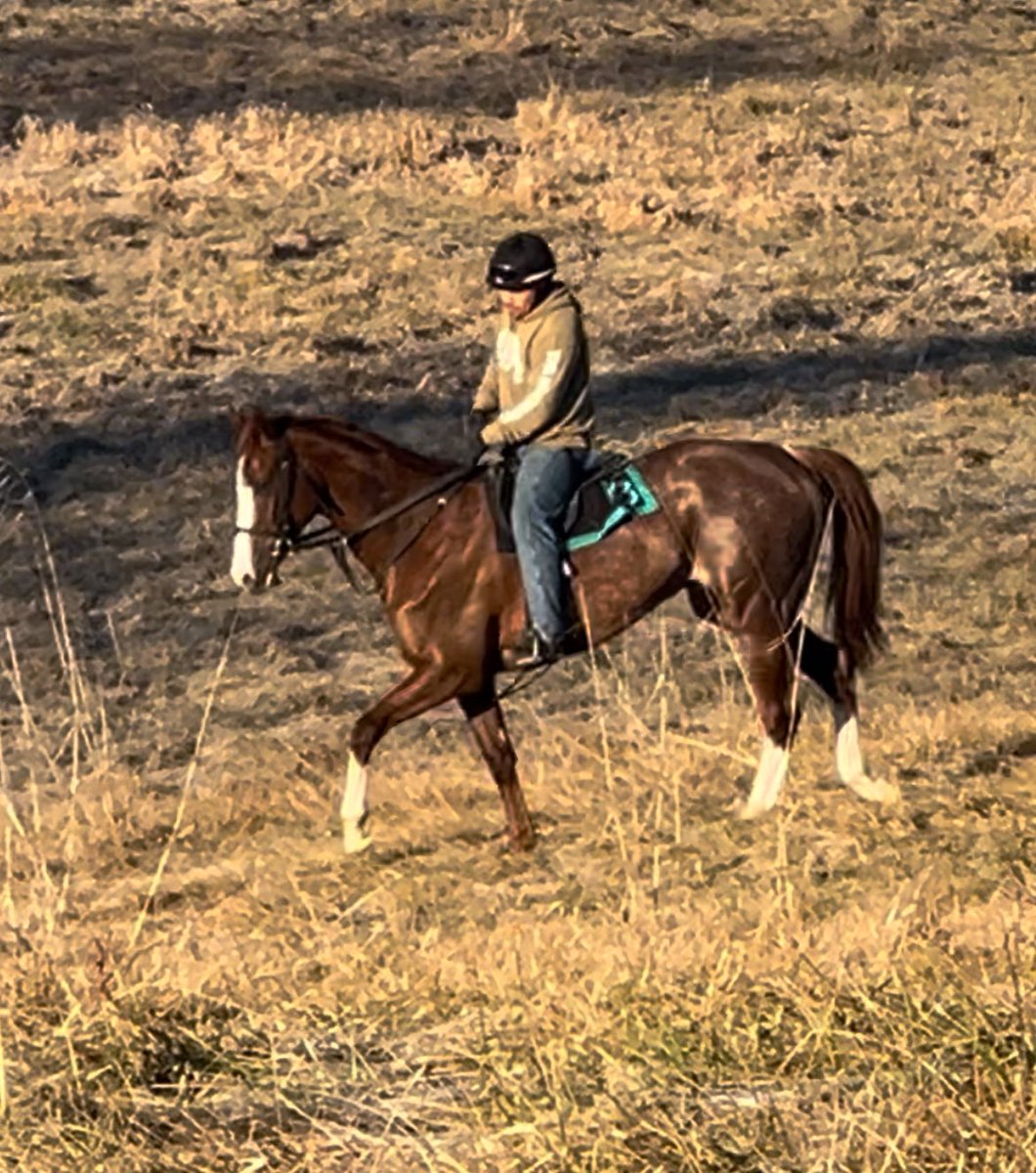 Keri Brion tweet media