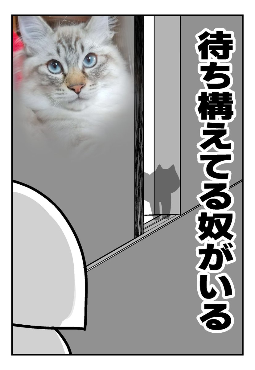 毎日毎日隙あらば

(再掲) 