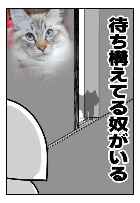 毎日毎日隙あらば

(再掲) 