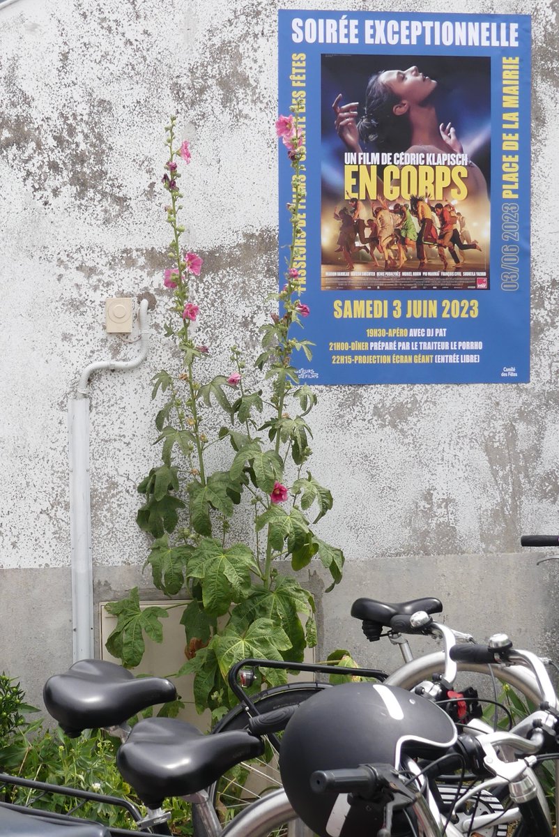 Cineluctable's tweet photo. A 21h09, ce soir, sur #France2, ne manquez pas #EnCorps de Cédric Klapisch. @Francetele
Lire ici : https://t.co/EFGE0BM3AE https://t.co/NDsWhYfZ89