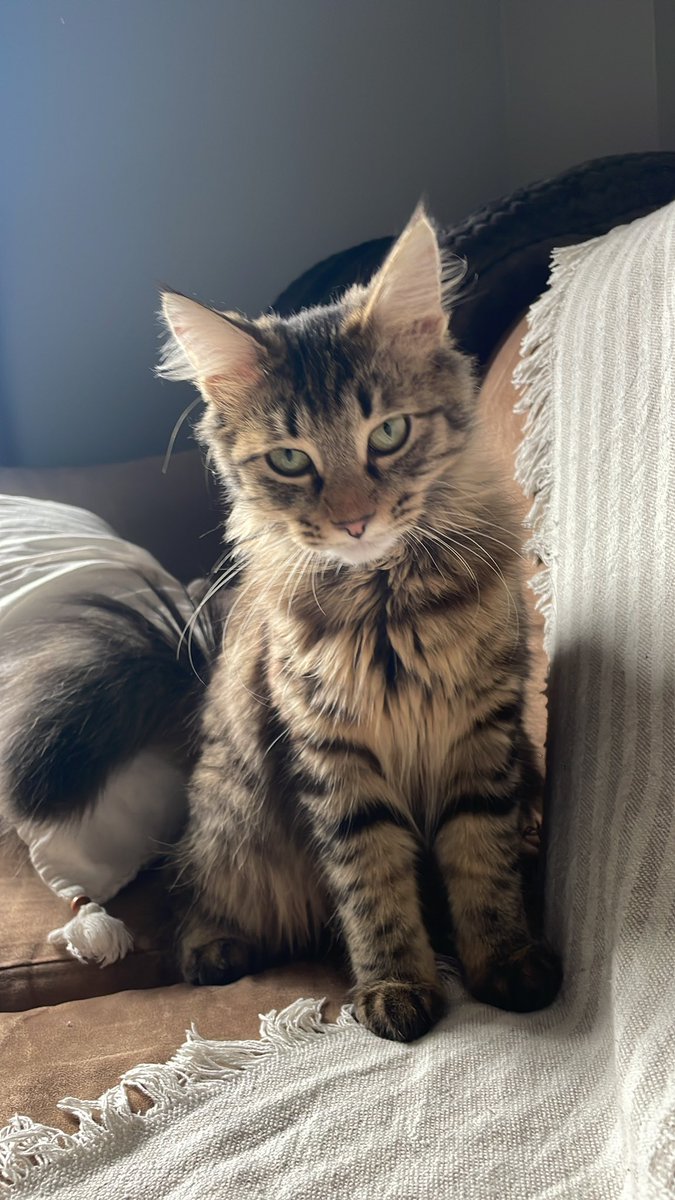 Napı10uz? Biz böyle gergoyuz