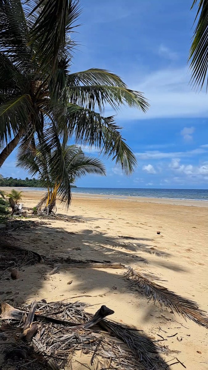 My holiday to Far North Queensland has been amazing so far!! 🌴🌴