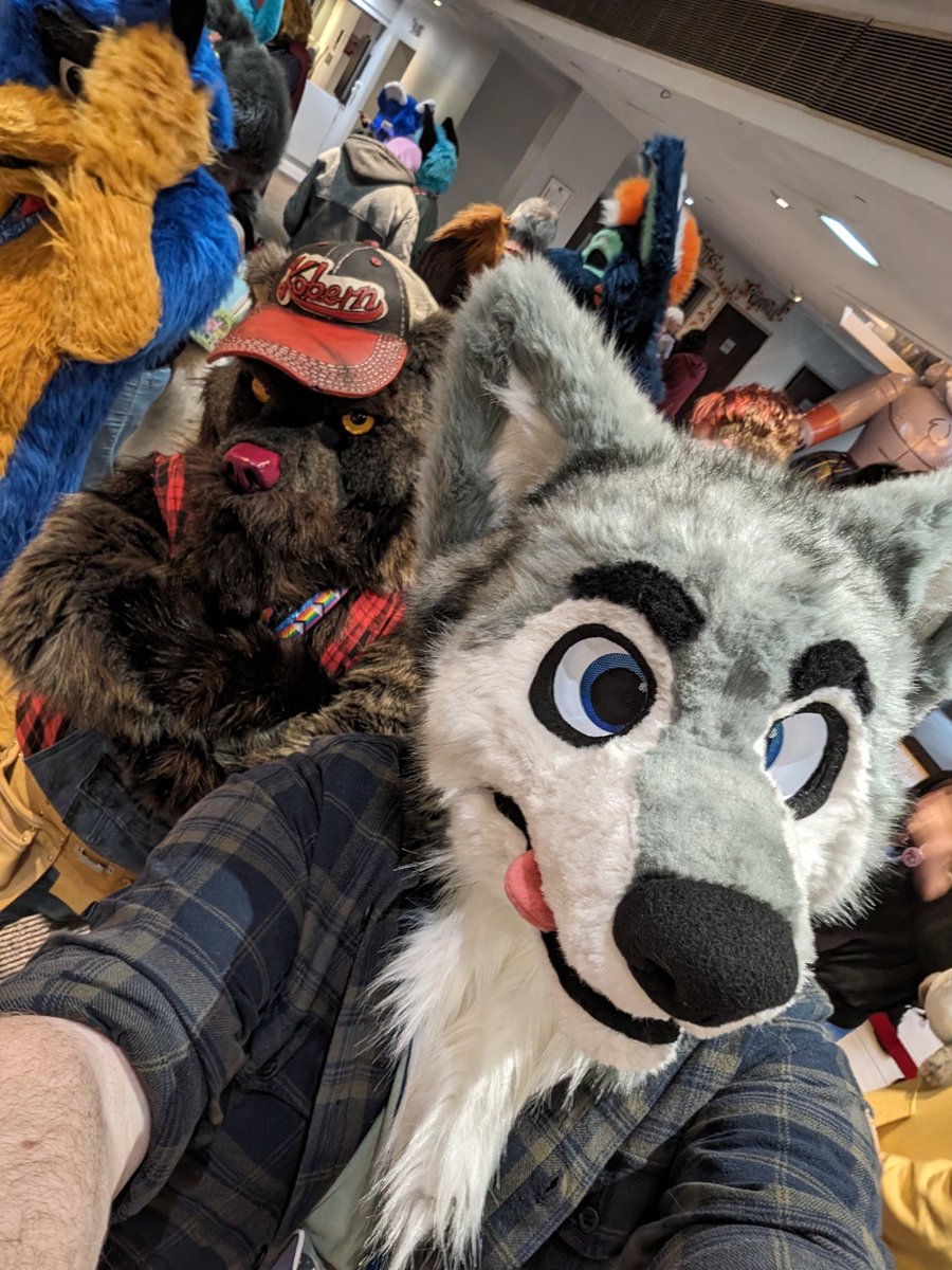 Astablaster's tweet photo. This bear guy just will not leave me alone!  XD @kobern_bearwolf #ScotiaCon https://t.co/vsbWR9Mrdb