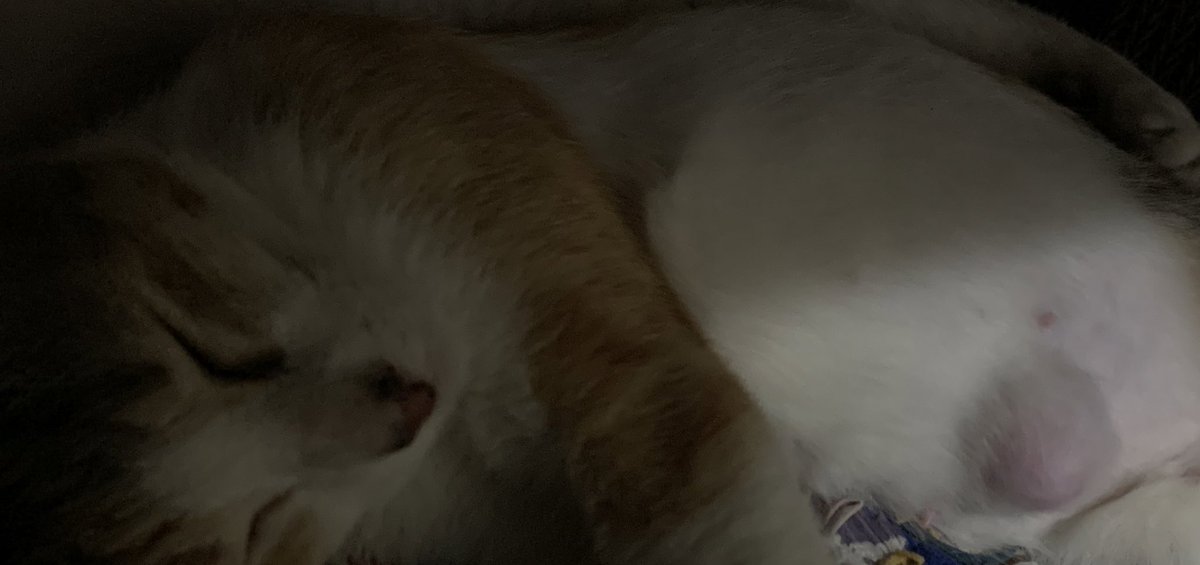 Nami🍉 tweet media