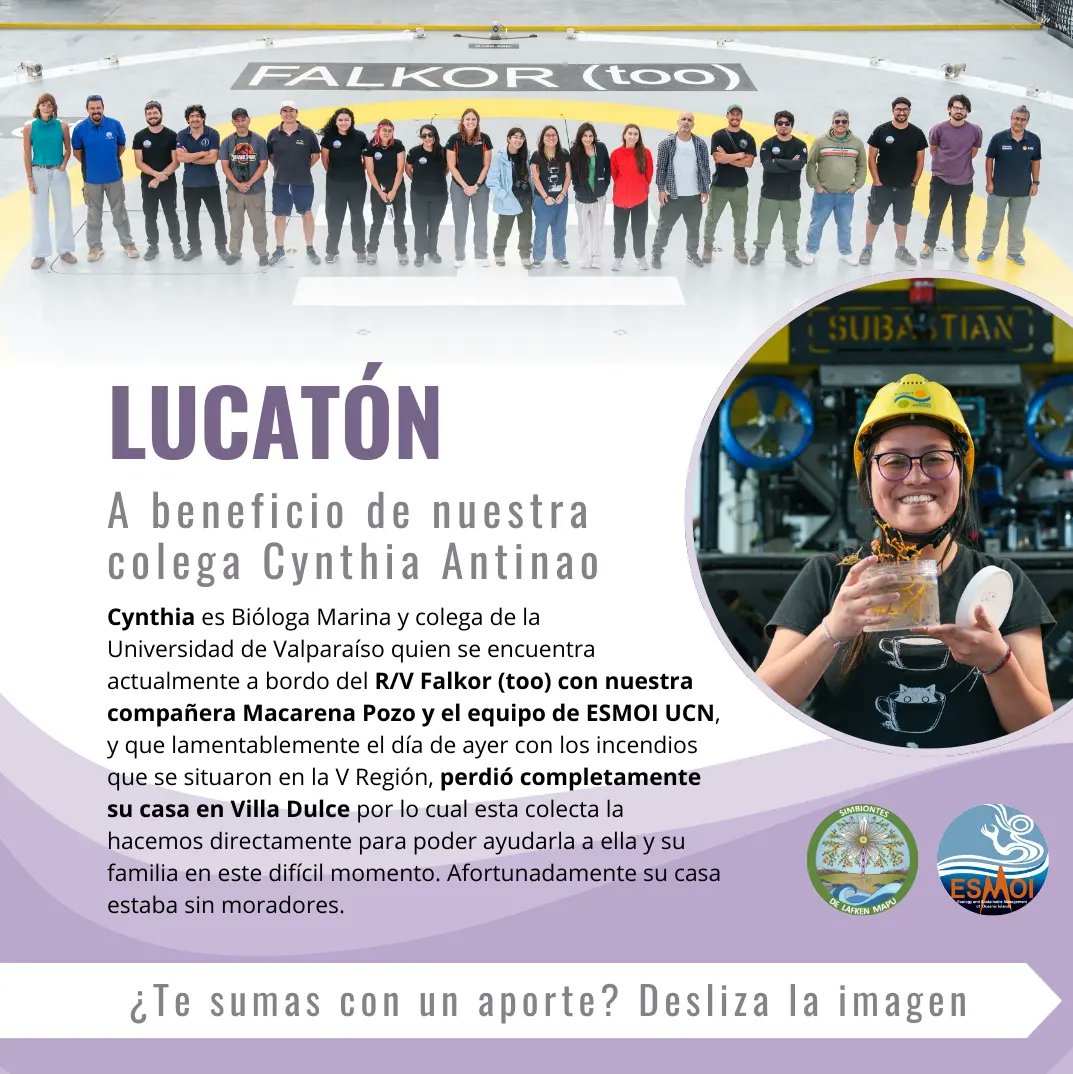 _vhopeinthebox's tweet photo. Hola!
Como muchos saben me encuentro embarcada con un team científico, donde una de las Biólogas Marinas que está a bordo perdió su casa por completo en Villa Dulce, por lo cual estamos organizando esta lucatón para ayudar a su familia 🥺🤍

Toda difusión y aporte sirve🙏🏻 https://t.co/jFibeuhGse