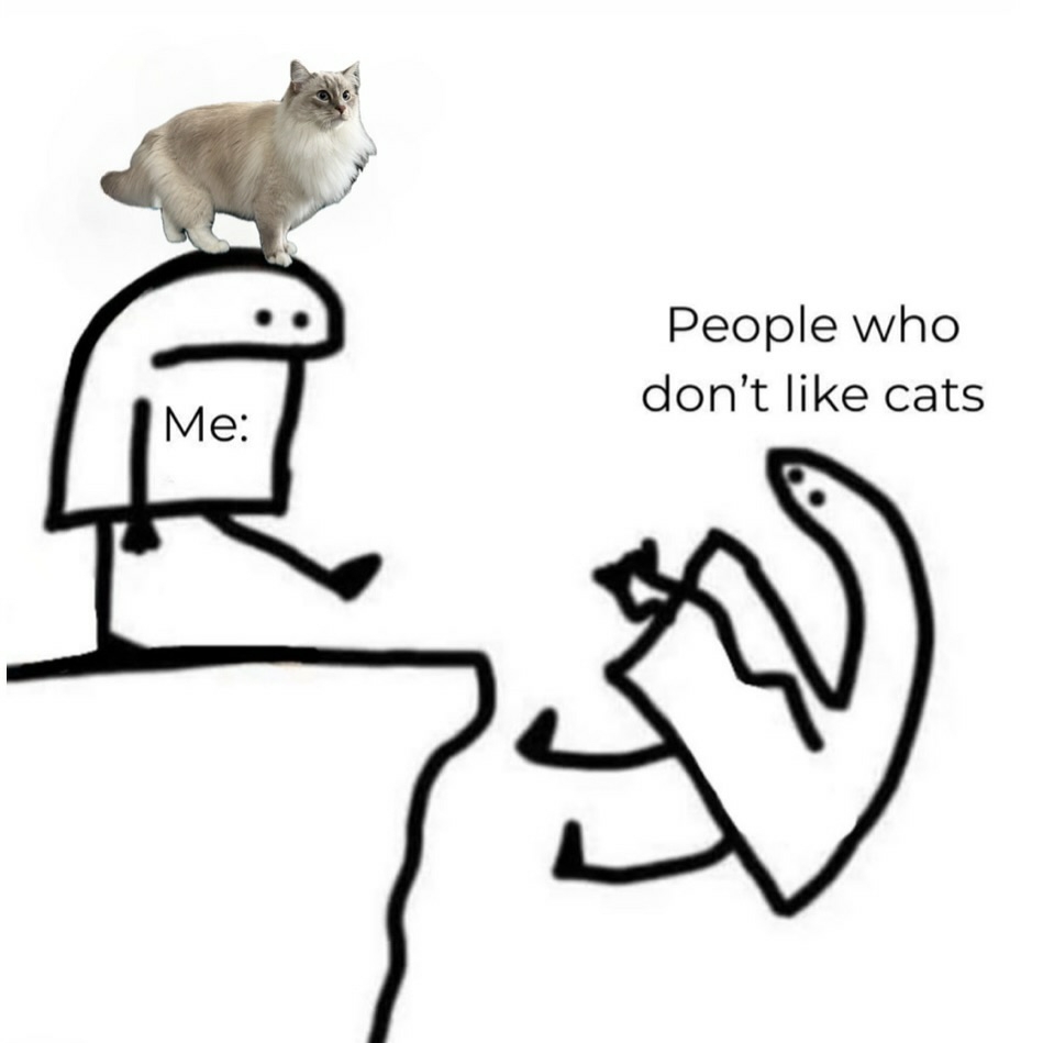 cats with powerful impression 🐾 tweet media