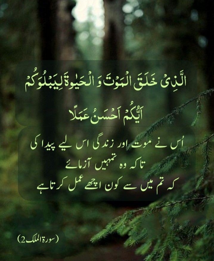 🌎 بےشک میر ے رب نے کوئی بھی چیز بیکار پیدا نہیں کی ہے۔