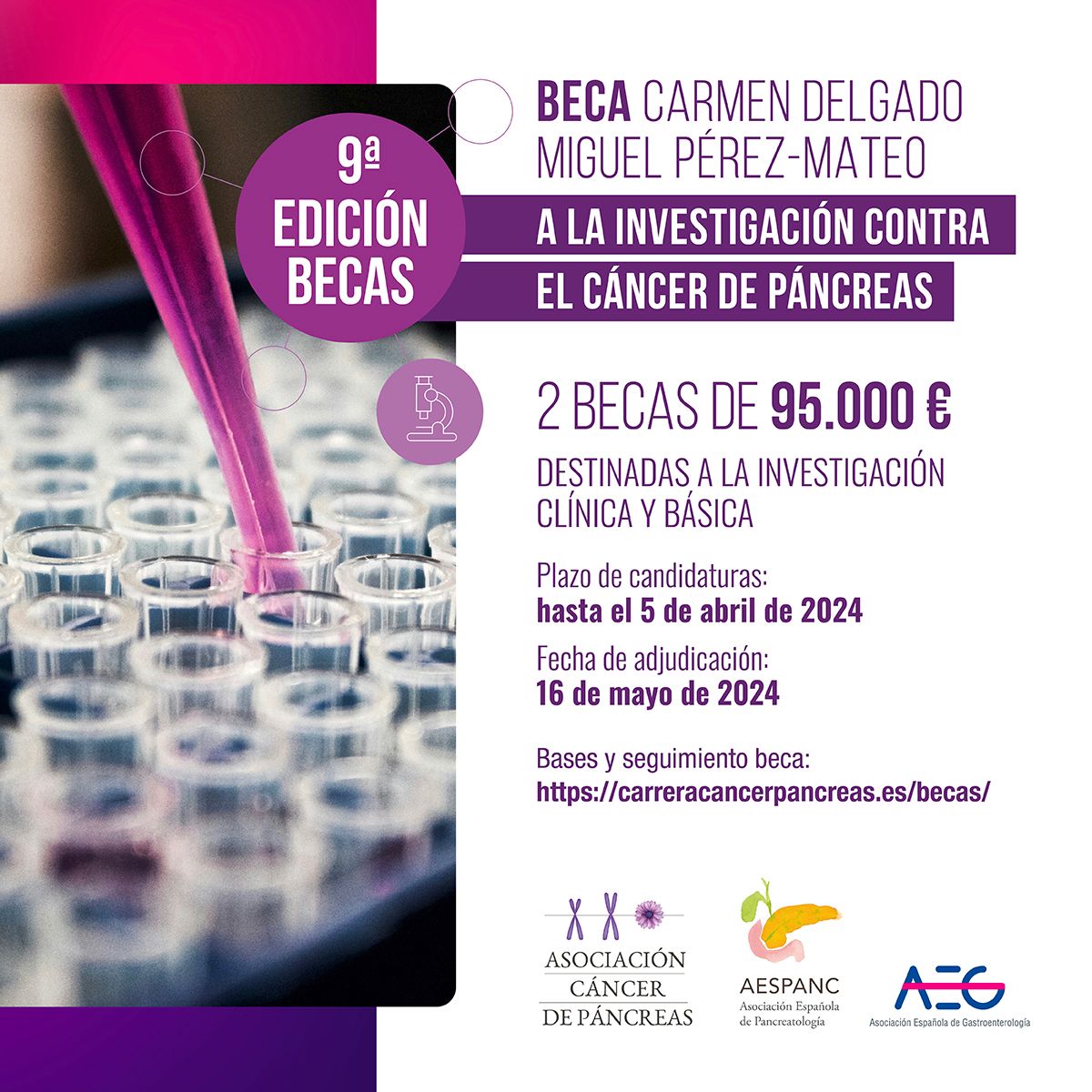 En el #DíaMundialContraelCáncer, nos enorgullece convocar la 9° edición de la Beca contra el #CáncerdePáncreas 💪2 becas de 95.000€ investigación clínica y básica 🔸️carreracancerpancreas.es/becas/ @aegastro @ACanPan @Run4Pancreas #investigacióncáncerdepáncreas #TodosContraelCáncer