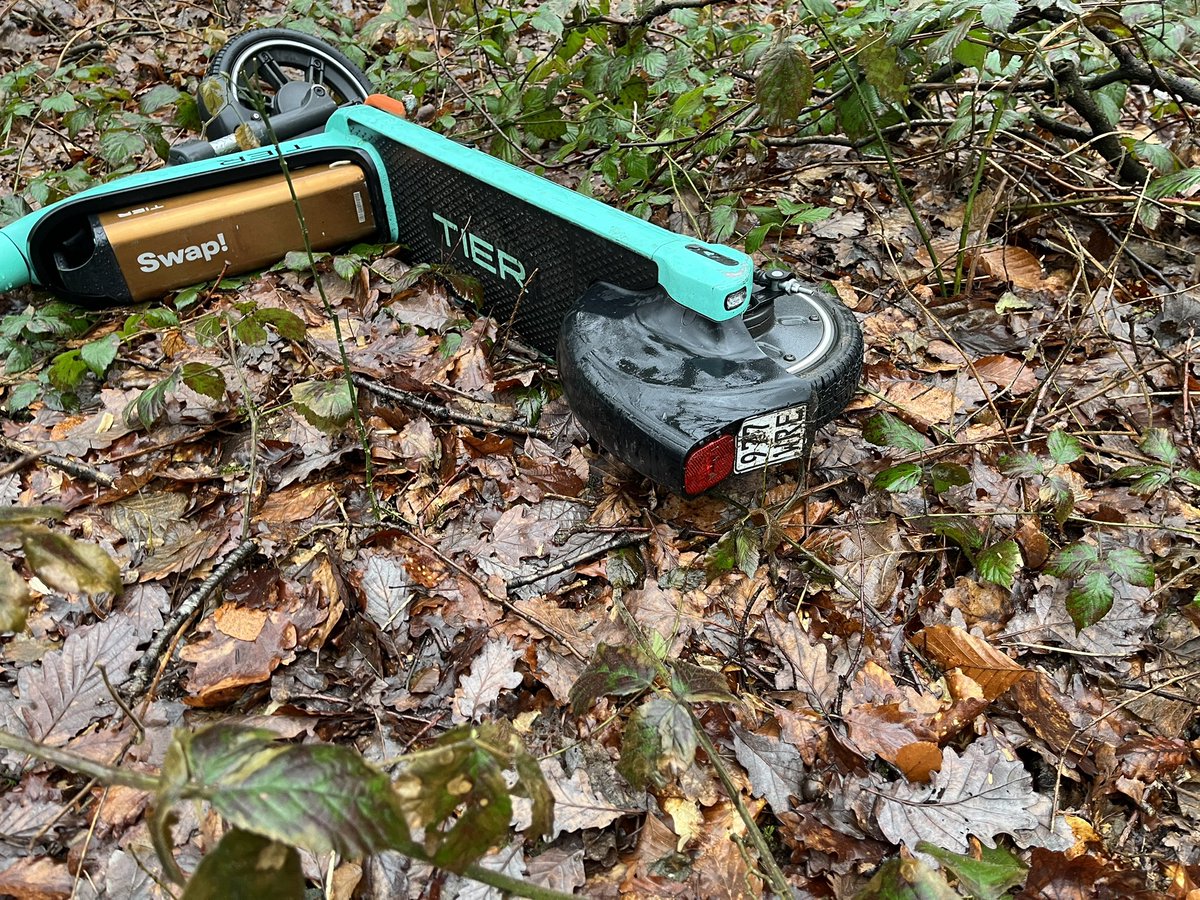 Hier im Wald also wachsen die Roller nach. Spannend!