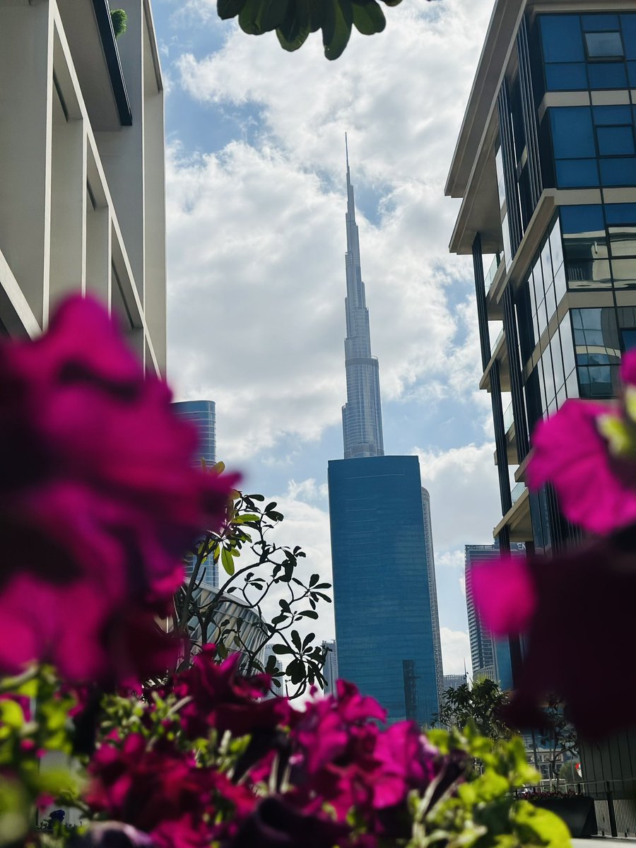 ويأتي على أهل الحق لحظةٌ يظنون فيها أنهم مجانين 

من فرط الوقاحة والثقة التي يتحدث بها أهل الباطل .