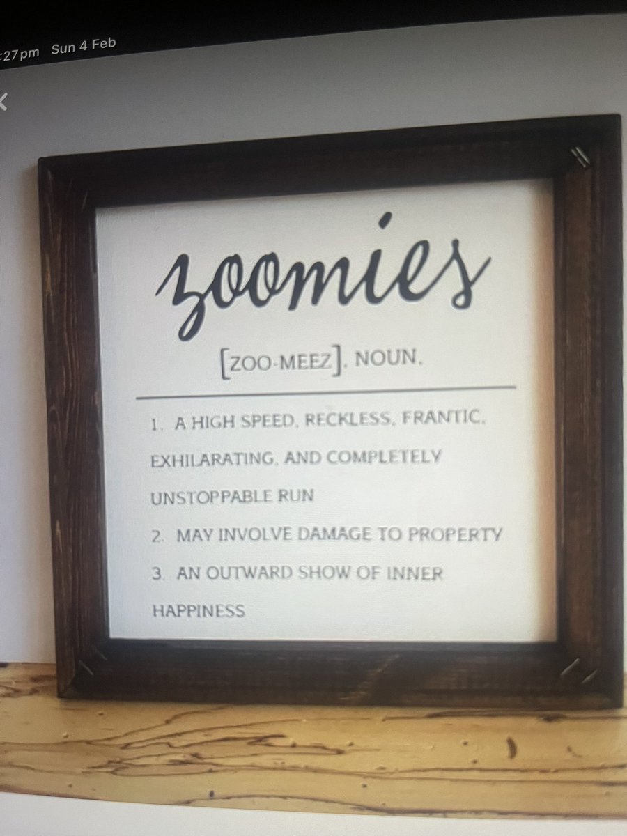 BakerBalboa's tweet photo. Anyone else need this sign up so hoomans don’t keep asking what you’re doing?! https://t.co/iN0C8isqqa