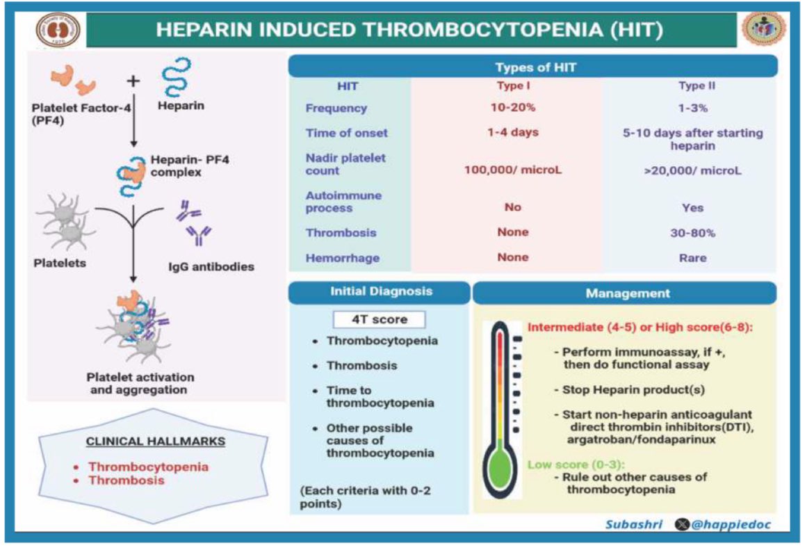 @isn_india @ECNeph @indianjnephrol @ISNeducation To complete this thread I should add the excellent write-up on Heparin Induced Thrombocytopenia (HIT) by @nephronisha and the visual abstract by @happiedoc that appeared in the @isn_india Newsletter @KidneyKolumns in November 2023 👉 isn-india.org//assets/file/K…