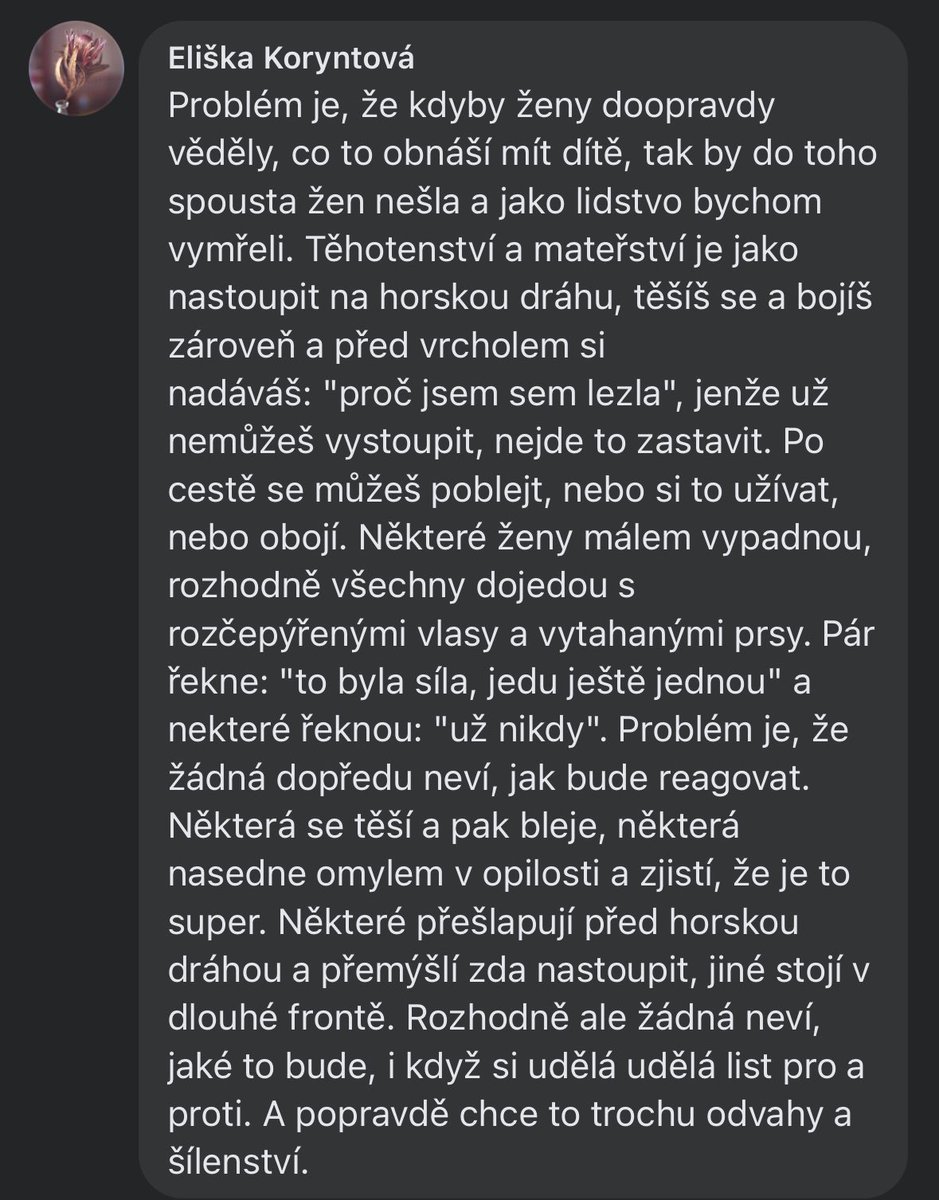 YgritteFire's tweet photo. Naprosto dokonalá odpověď na otázku jedné ženy v diskuzi, jestli jít nebo nejít do zplození potomka. Nezakrývám autorku, protože mi to přijde geniální. https://t.co/JDDizsNz69