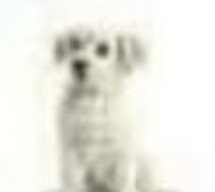 Michael Doherty tweet media