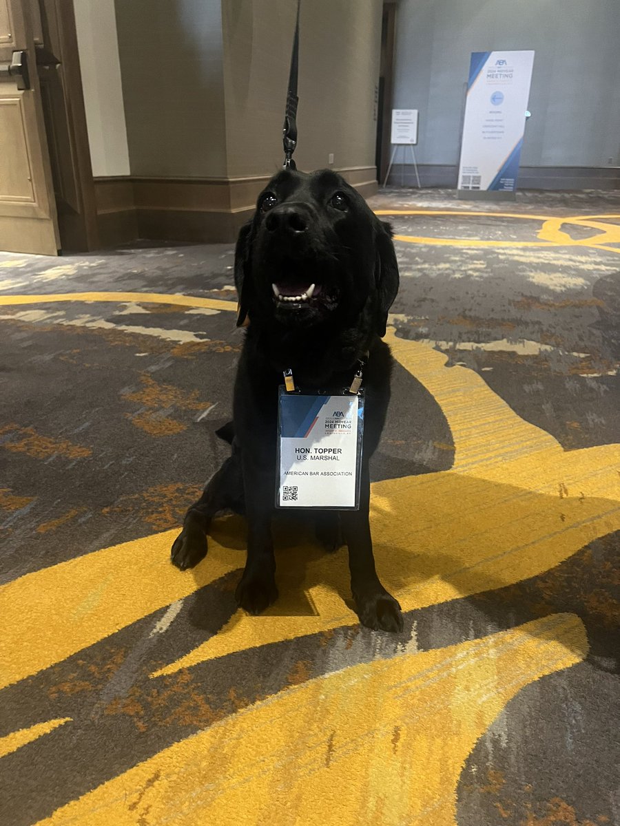 Topper, aka the best part of @ABAesq #ABAMidyear