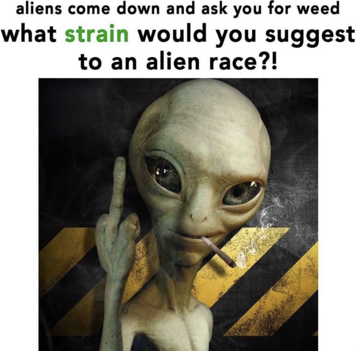 𝒜𝓃𝑔𝑒𝓁🪽 tweet media