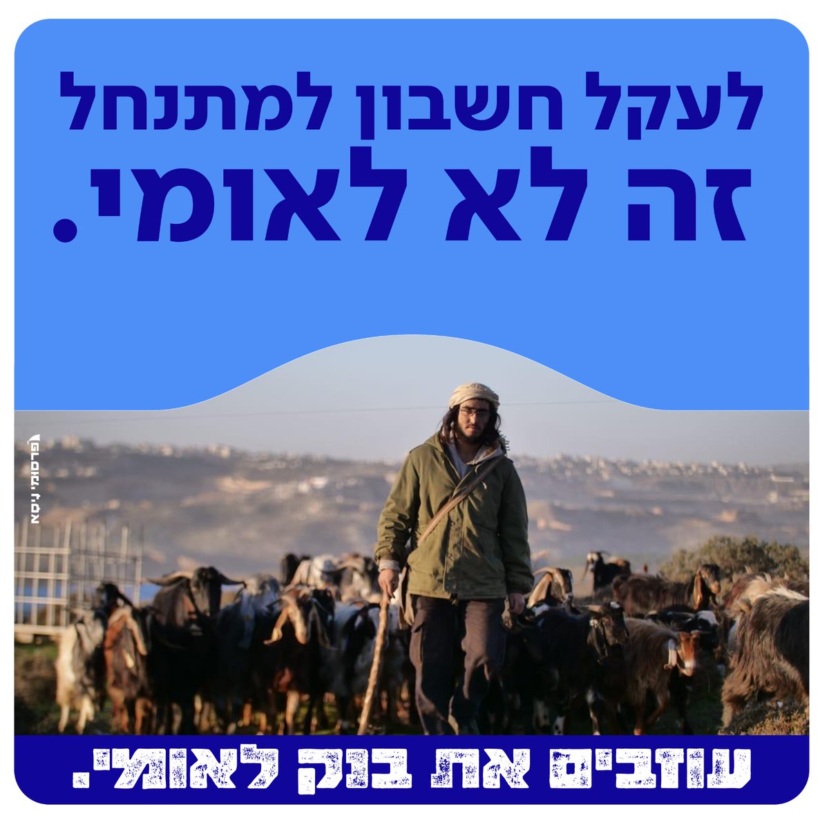 ינון מגל tweet media