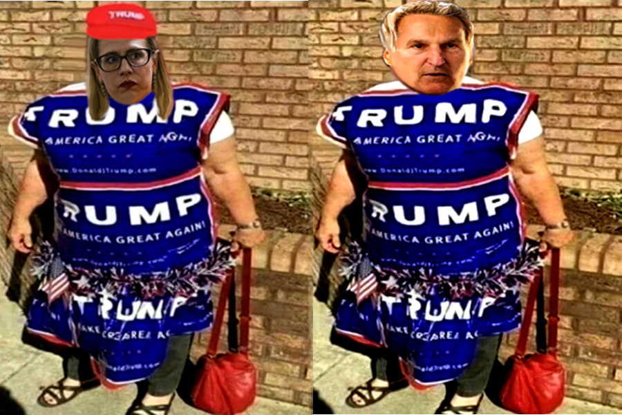 VenusianAndroid's tweet photo. @atrupar #FakeDemocrats https://t.co/6YJlumd6fc
