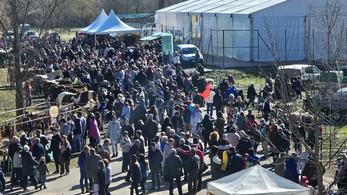 DDValderrueda's tweet photo. Gradefes vive una Feria de San Blas primaveral y abarrotada de visitantes.
Más 📸 y toda la ℹ️ aquí: https://t.co/eBVFvxWkQe
#ferias #leonesp #Gradefes #sanblas #diariodevalderrueda https://t.co/aUIeJuOIHu