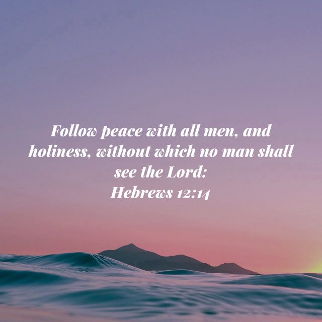 pattichamier's tweet image. Peace and holiness. How do we except others to see the Lord in us if we aren’t living as Jesus told us to,treating others  as He did? There should be peace and love in our approach,words,and actions♥️🕊️