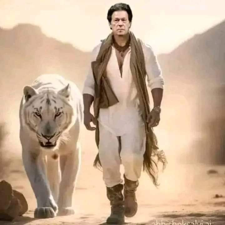 Aleem 🌟 Khan (Focus on IK)🙌 tweet media