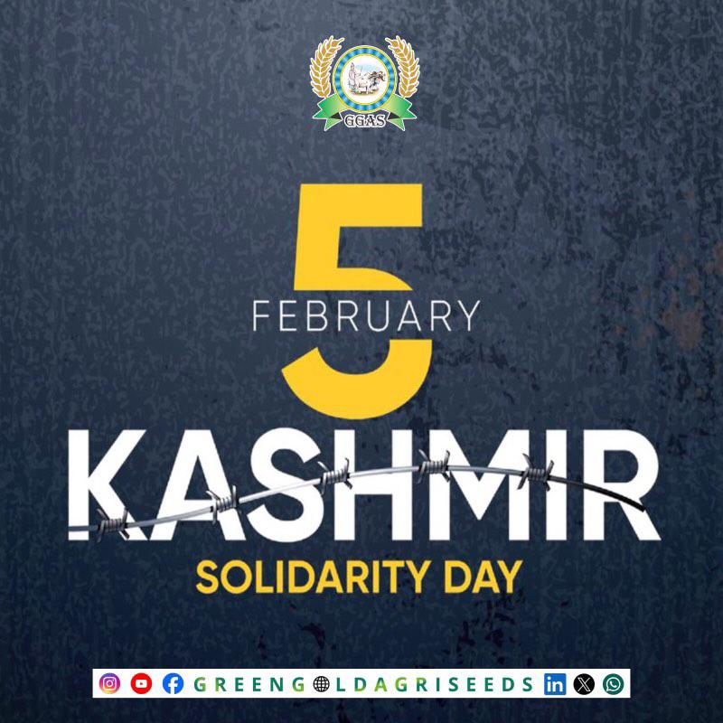 Come together in solidarity and unity on Kashmir Day with Green Gold Agri Seeds, fostering a shared commitment to a better future. #KashmirSolidarityDay #GreenGoldUnity #AgriHarmony #TogetherWeGrow #SeedOfChange #GlobalSolidarity #HarvestingHope #KashmirUnitesUs