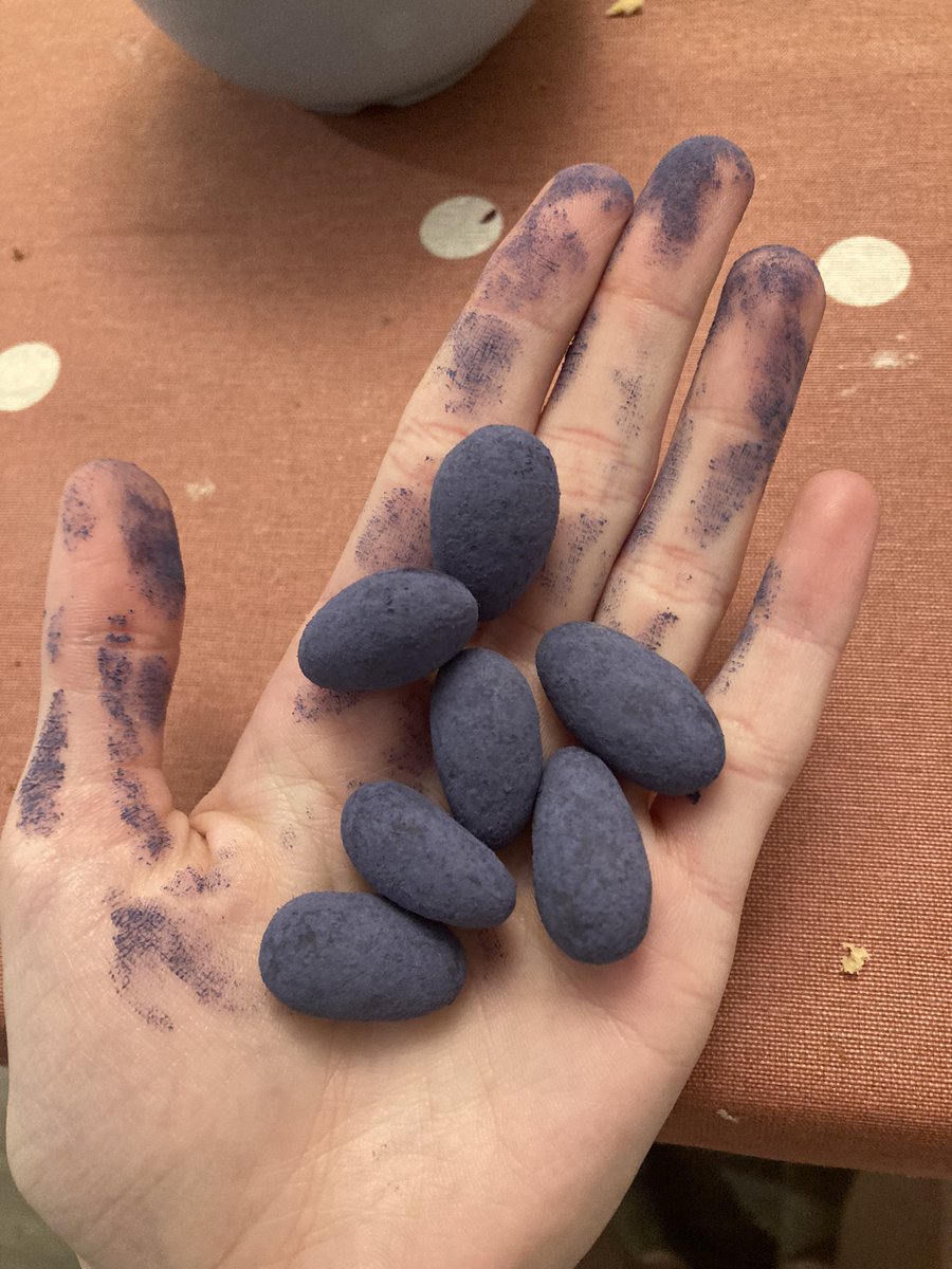 кира безгроша (@nnneev) on Twitter photo 