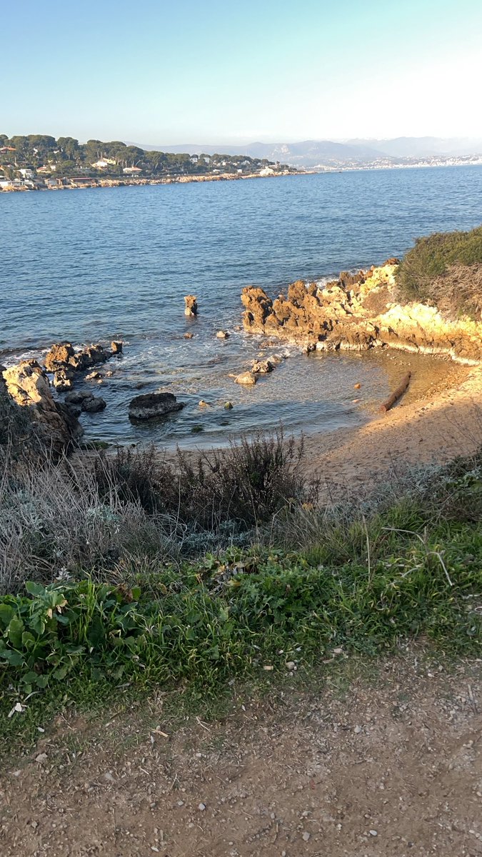 celiaimmo06's tweet image. #capdantibes #garoupe #sun#beach #sport #cotedazur 🥰🥰🥰