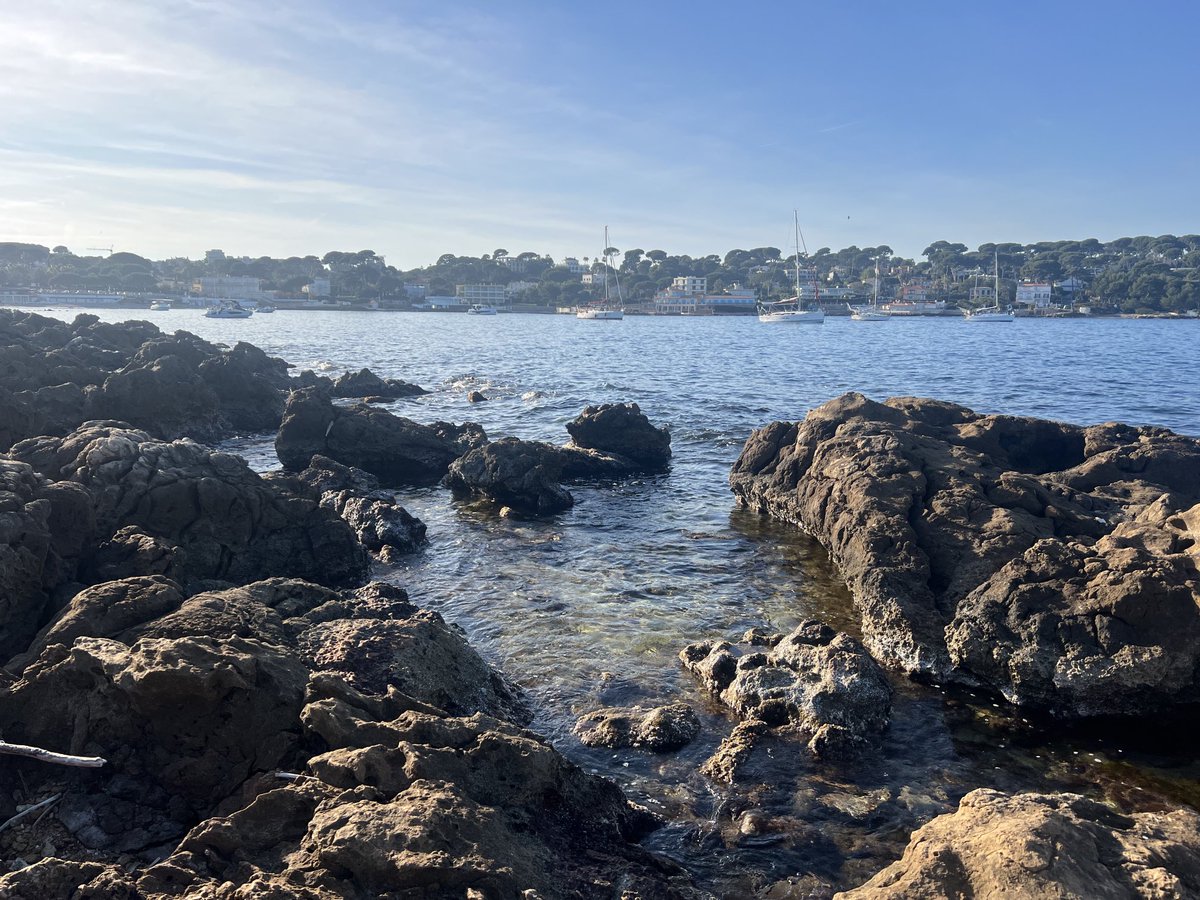 celiaimmo06's tweet image. #capdantibes #garoupe #sun#beach #sport #cotedazur 🥰🥰🥰