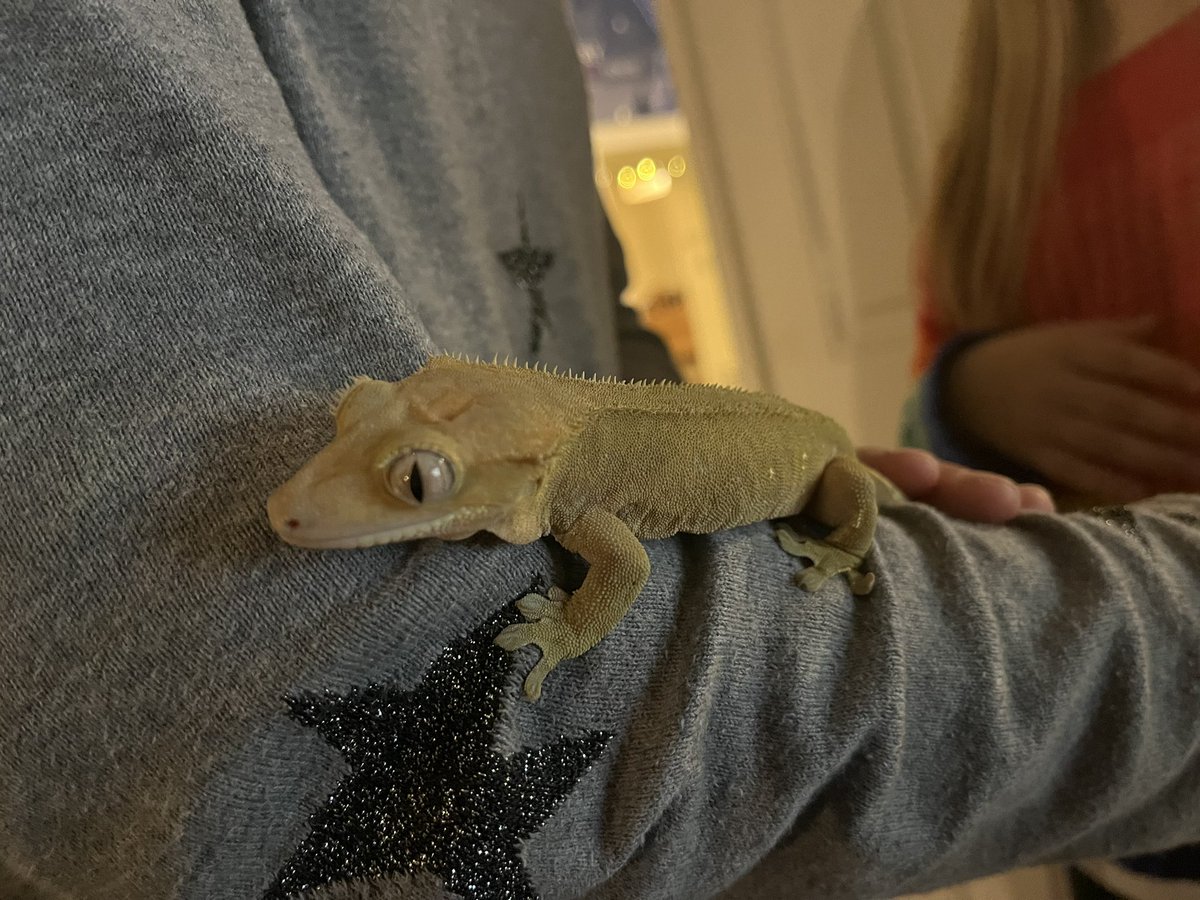 Priory House tweet media