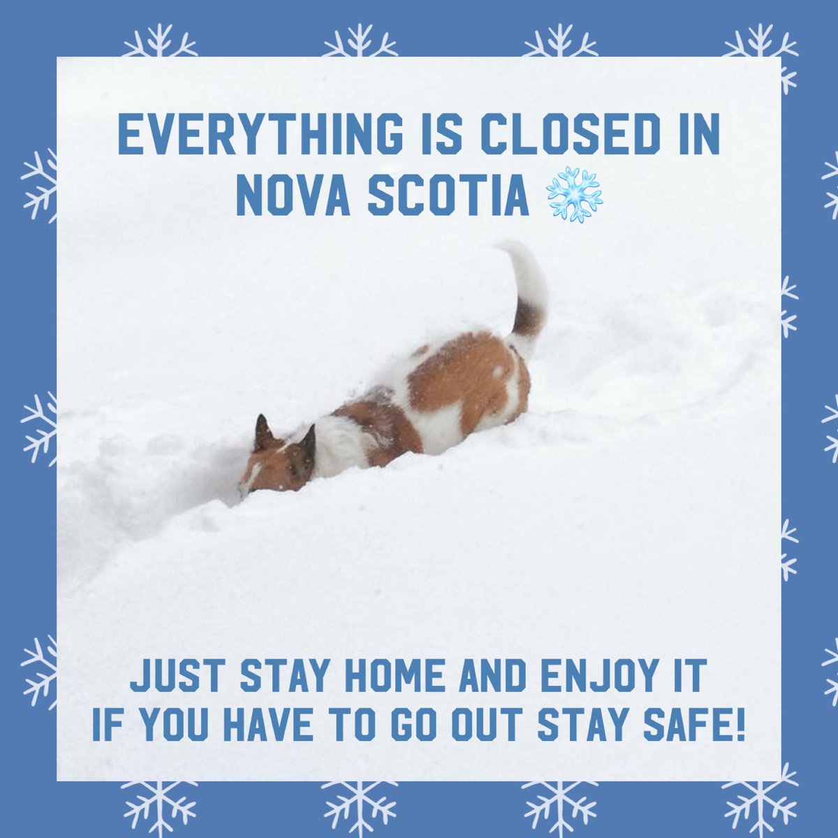 Just stay home please! 
It’s not worth your life to be out in this weather,
If you have to work, please stay safe and I appreciate very much you risking your life to be able to help those who need you most ♥️
#NSStorm #essentialworkers #StaySafe ❄️