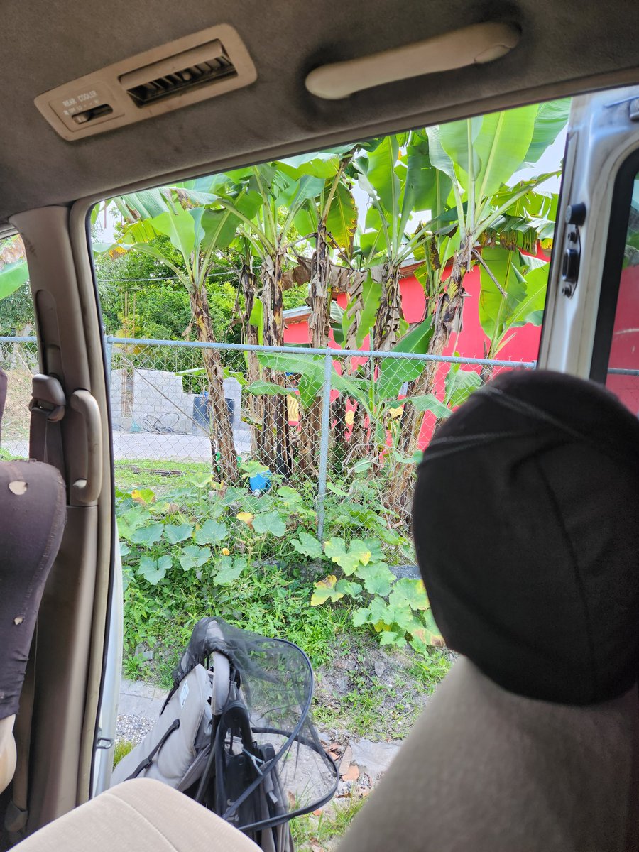 UVBadman's tweet photo. Simple day in Jam 🇯🇲 https://t.co/Gm0CWWhXT7