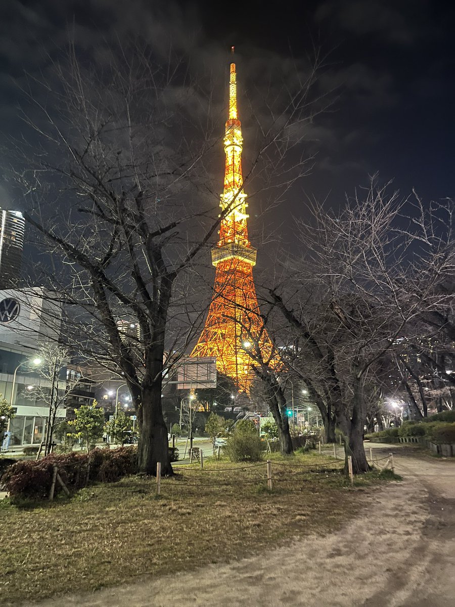 又到东京，随手一拍。