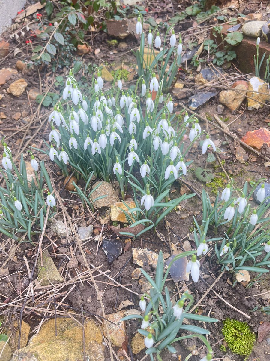 Signs of Spring 🤞🏽#takenotice