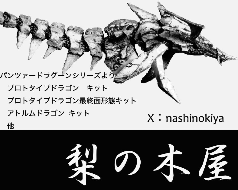 nashinokiya's tweet image. ワンフェス2024冬参加します
パンツァードラグーンより
アトルムドラゴン　25,000円　10個
プロトタイプドラゴン　20,000円　1個
プロトタイプドラゴン最終面形態　15,000円　1個
全て組み立てキット
#panzerdragoon  #パンツァードラグーン #AZEL  #アトルムドラゴン #WF2024W #プロトタイプドラゴン