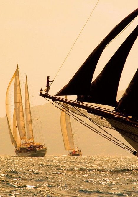 The wake doesn't drive the ship

Alan Watts