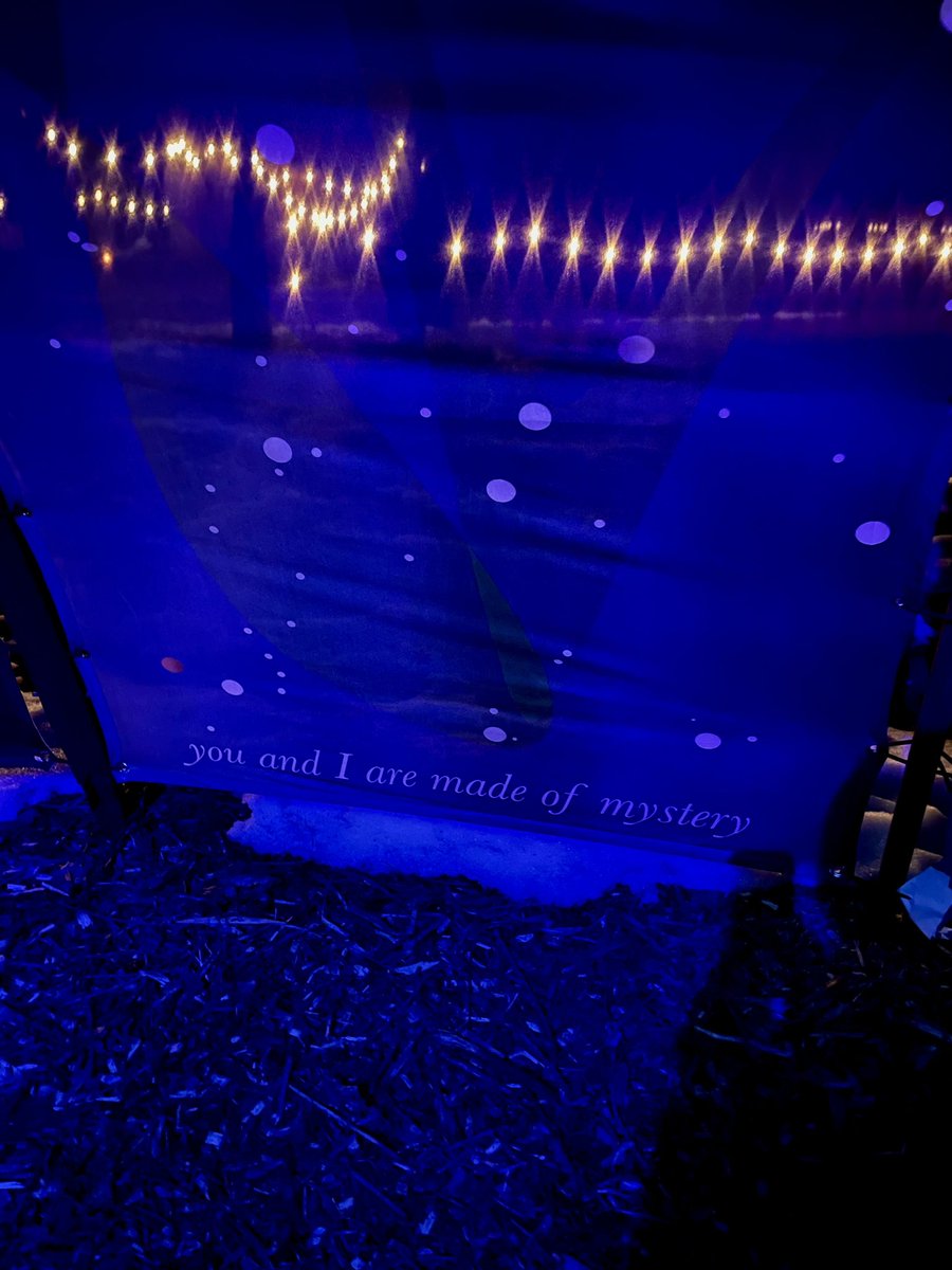 mcneillrach's tweet photo. Some #winterlit https://t.co/gJv57apbj2