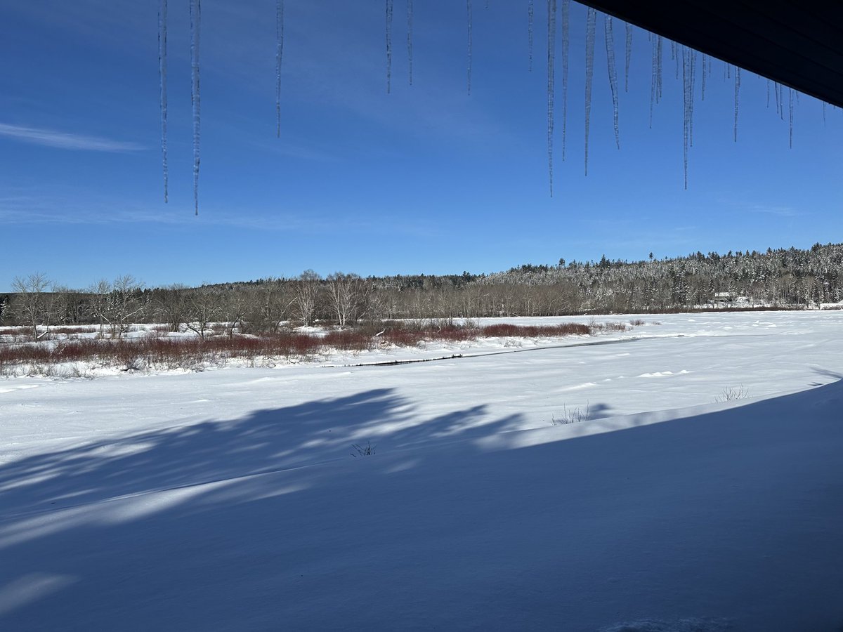 Faith Matchett tweet media