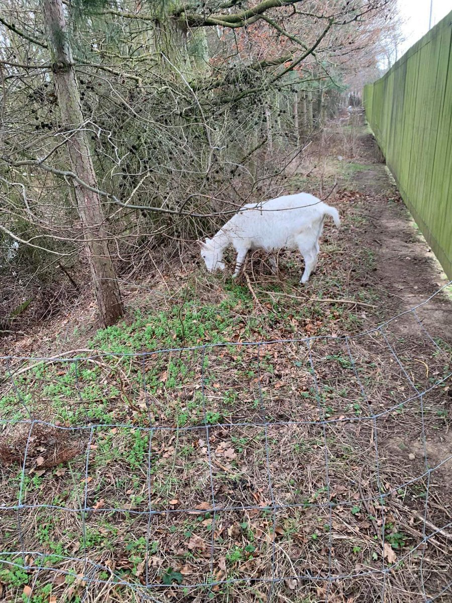 jack barker tweet media