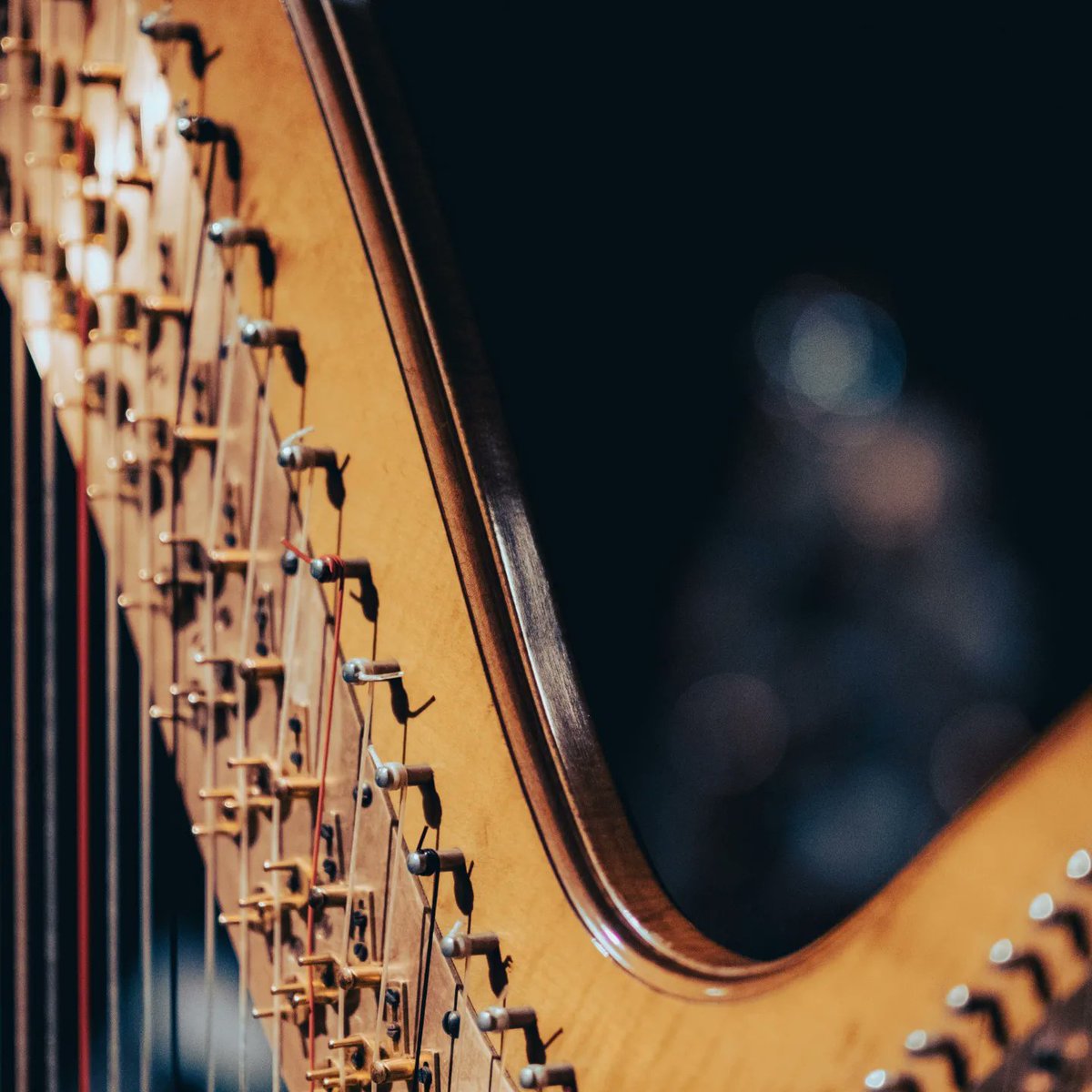 lasinfonicapy's tweet photo. #LaSinfónicaContigo seguirá ofreciendo las mejores creaciones de música de cámara y sinfónica, tanto nacionales como universales. 🎶

▶️ Todos los domingos 
🕗 20:30 hs.
📺 Por @tvcamarapy

@GriOrte https://t.co/dtReuMPR0p