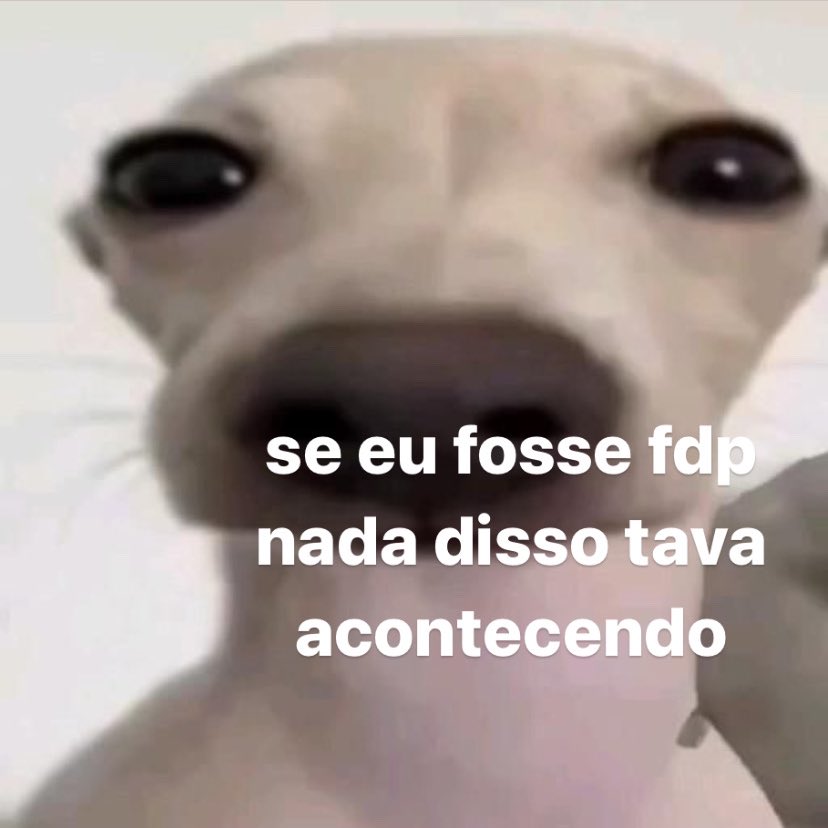 Itspedrito's tweet photo. tenho que aprender https://t.co/CPqQ7cfEpq