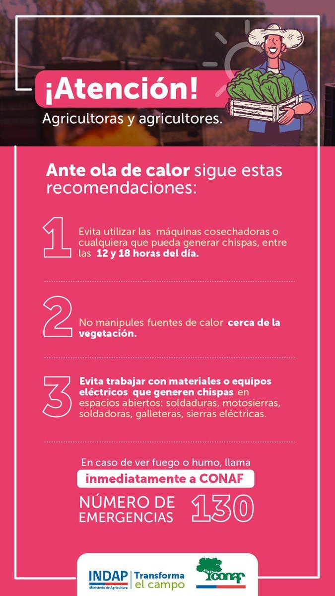 INDAP_Chile (@indap_chile) on Twitter photo Ante ola de calor, lo más recomendado es suspender actividades agrícolas con maquinarias y vehículos, especialmente en trillas. Revisa y comparte esta información 📌 porque prevenir un incendio 🔥 es más fácil que combatirlo. #INDAP - <a href="/conaf_minagri/">CONAF - Corporación Nacional Forestal</a> Ante ola de calor, lo más recomendado es suspender actividades agrícolas con maquinarias y vehículos, especialmente en trillas. Revisa y comparte esta información 📌 porque prevenir un incendio 🔥 es más fácil que combatirlo. #INDAP - <a href="/conaf_minagri/">CONAF - Corporación Nacional Forestal</a>