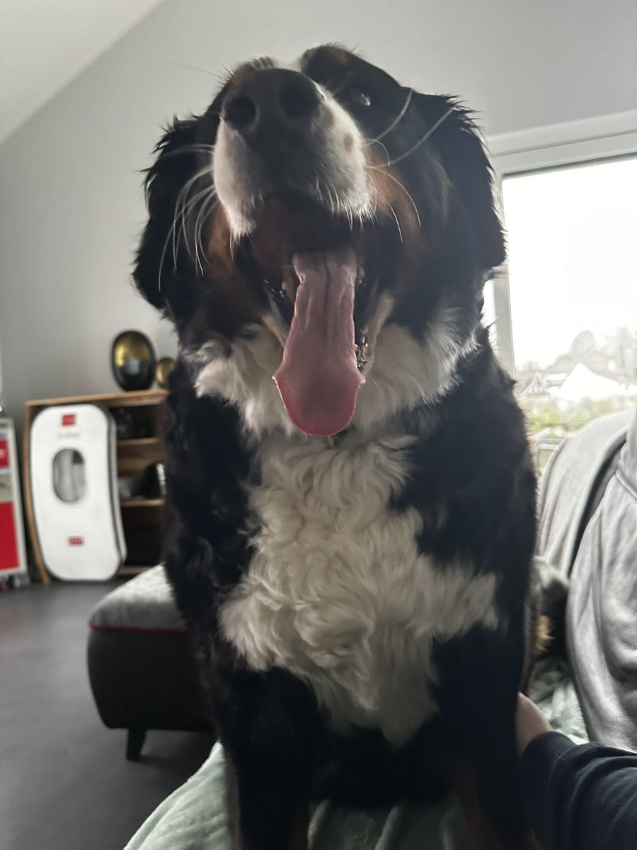 Oma nicht da, Onkel Quatsch nicht da, Milchschnitte hat die Kröte nicht abgeholt, es regnet und morgen muss ich mit der Kröte zum TÜV und zur ASU - was ein Scheiss!