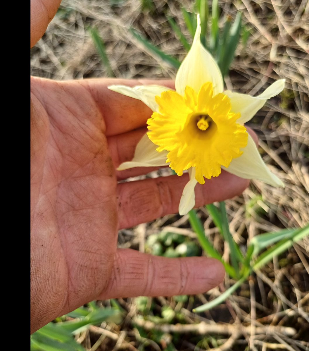 Alan Byrne (@alanbyr6183968) on Twitter photo 